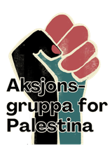 Aksjonsgruppa for Palestina